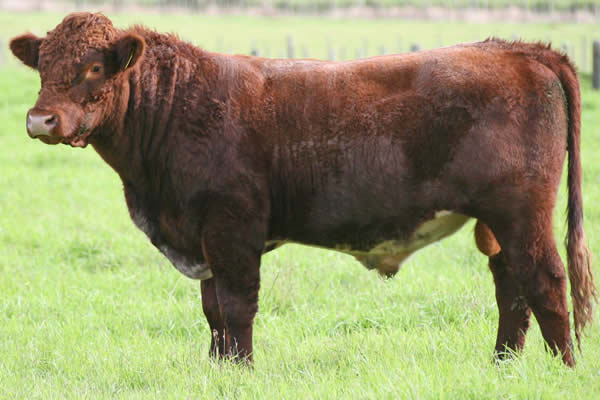 Glenrossie Parkinson 23080